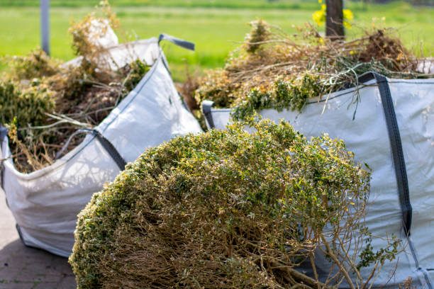 Attic Cleanout Services in Big Lake, MN